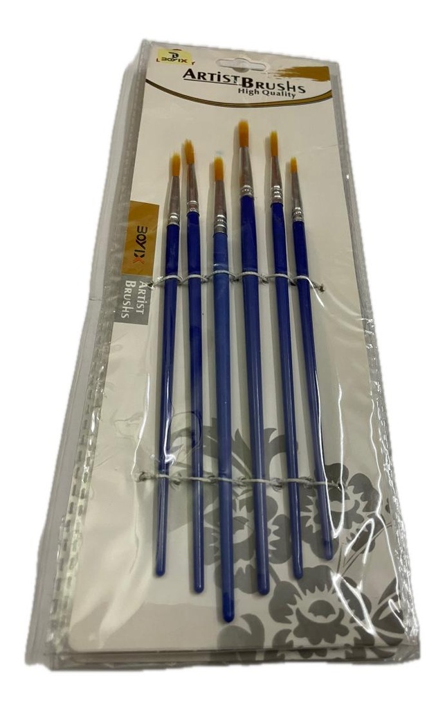 Artist Brushs Paint Brush - set of 6